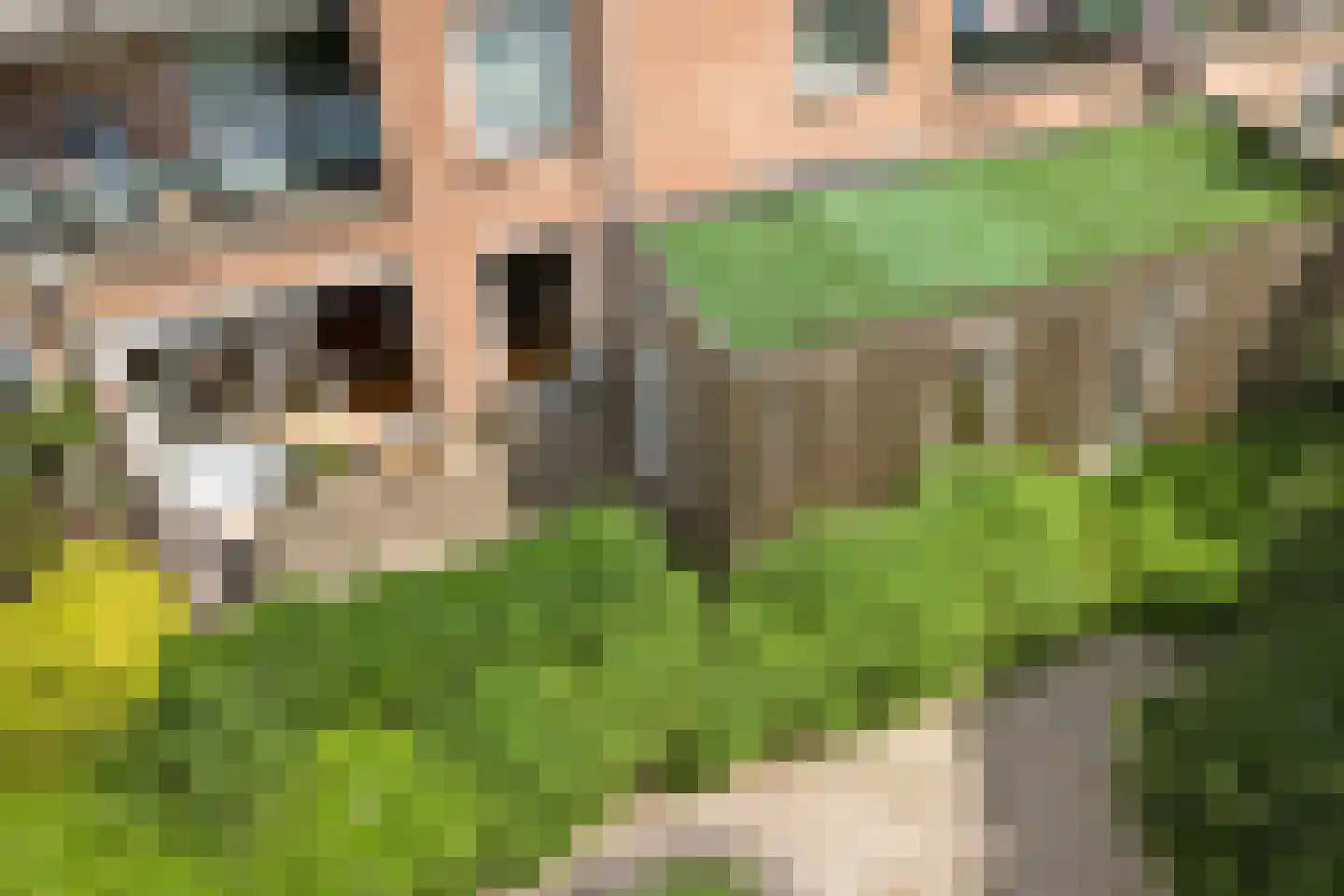 Molukkenstraat 86 A Amsterdam thumbnail 47