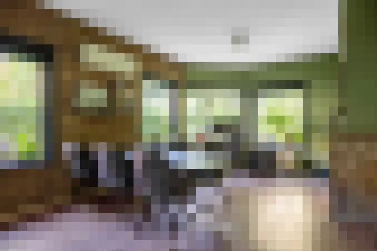 Molukkenstraat 88 Groningen thumbnail 15