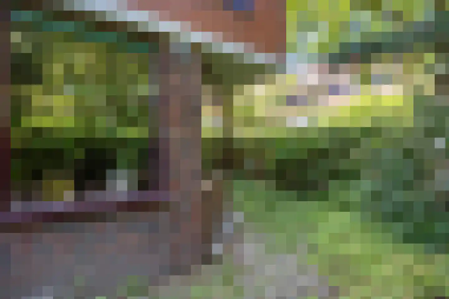 Molukkenstraat 88 Groningen thumbnail 31