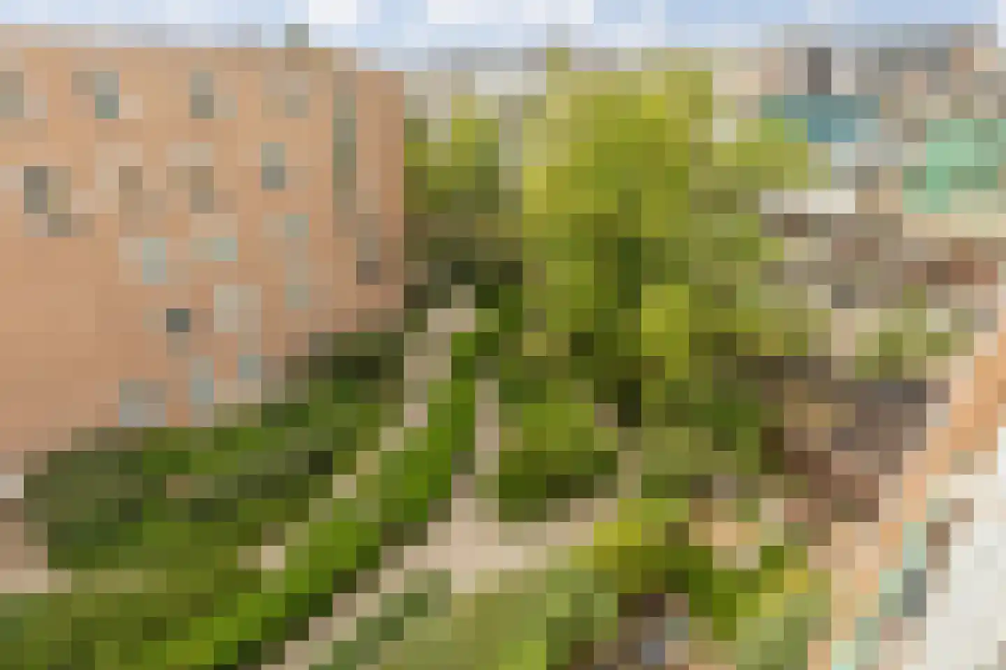 Molukkenstraat 90 B Amsterdam thumbnail 20