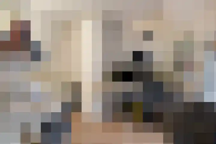 Molukkenstraat 90 Groningen thumbnail 23