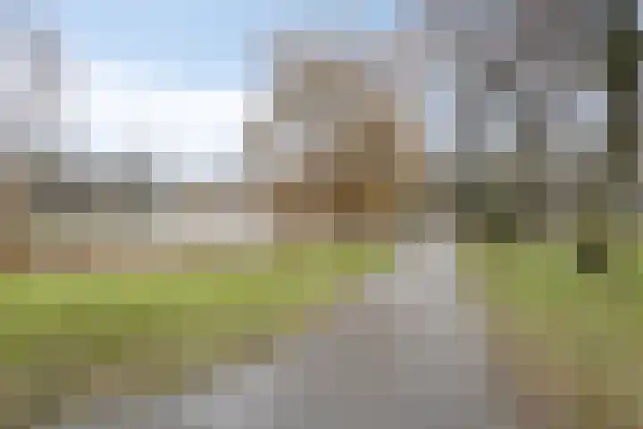 Molukkenstraat 90 Groningen thumbnail 25