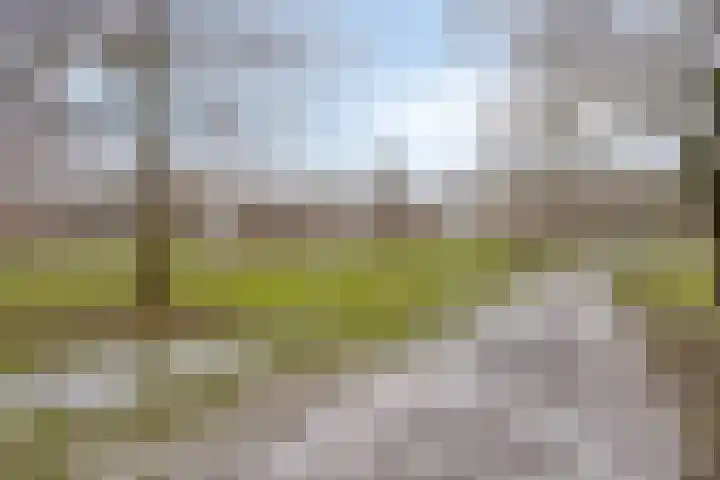 Molukkenstraat 90 Groningen thumbnail 26