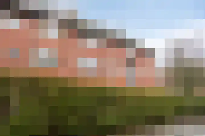 Molukkenstraat 90 Groningen thumbnail 7