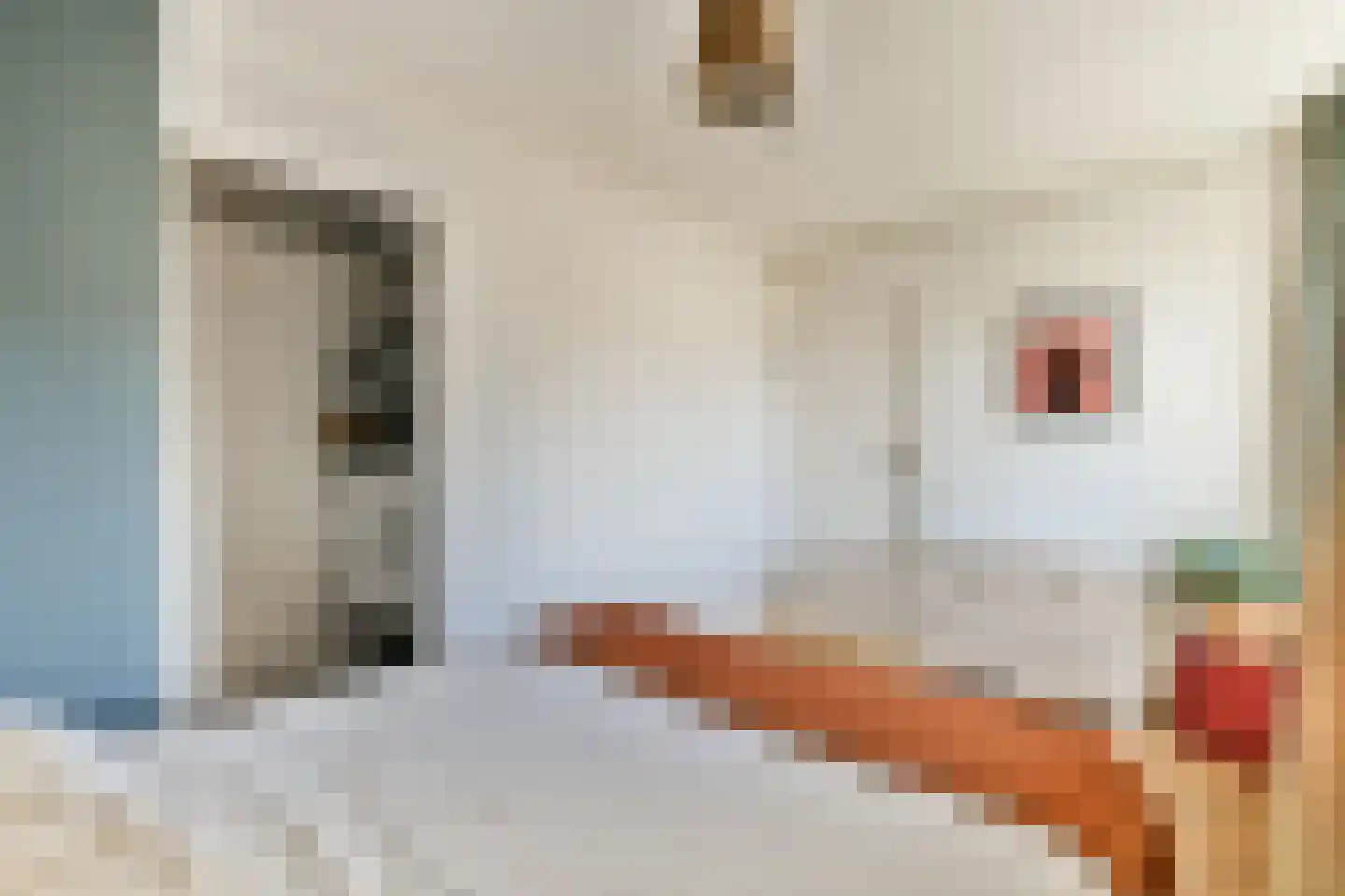Molukkenstraat 94 E Amsterdam thumbnail 12