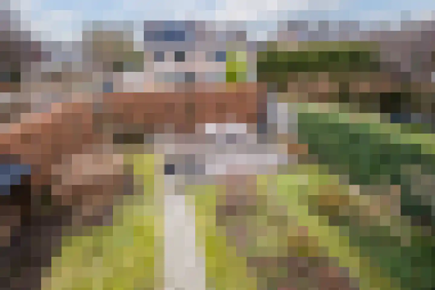 Molvense Erven 135 Nuenen thumbnail 39