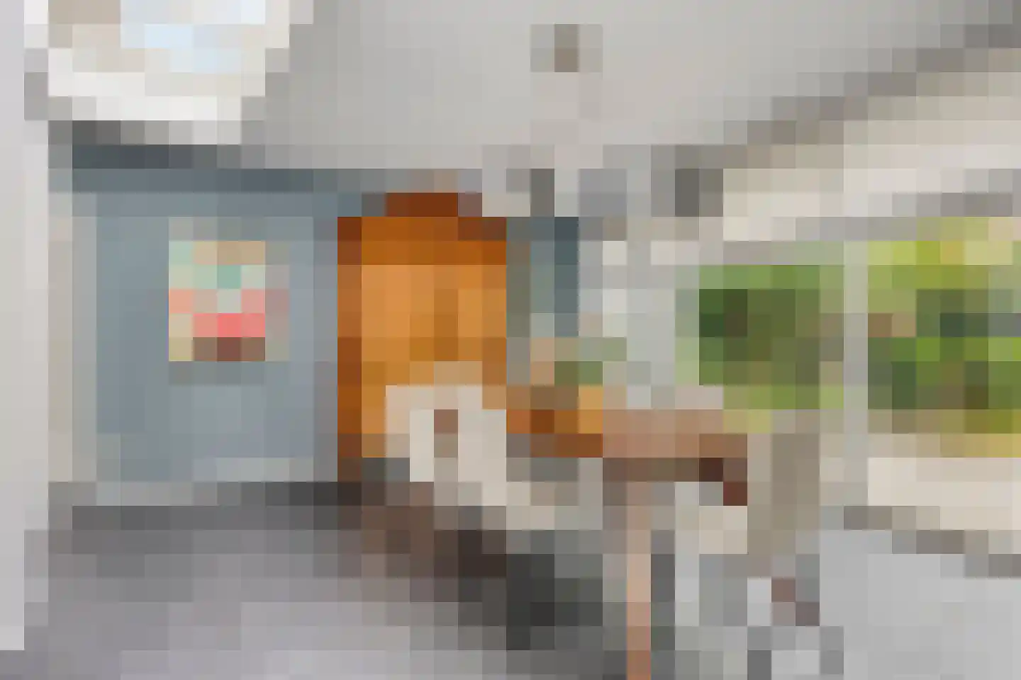 Molvense Erven 212 Nuenen thumbnail 13