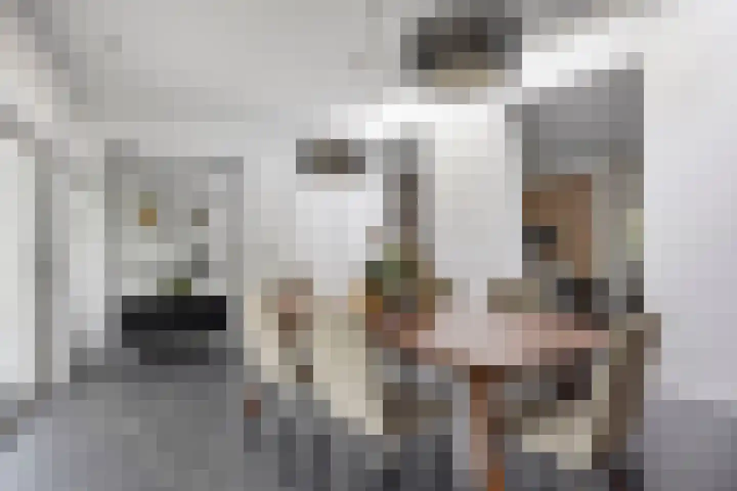 Molvense Erven 212 Nuenen thumbnail 14