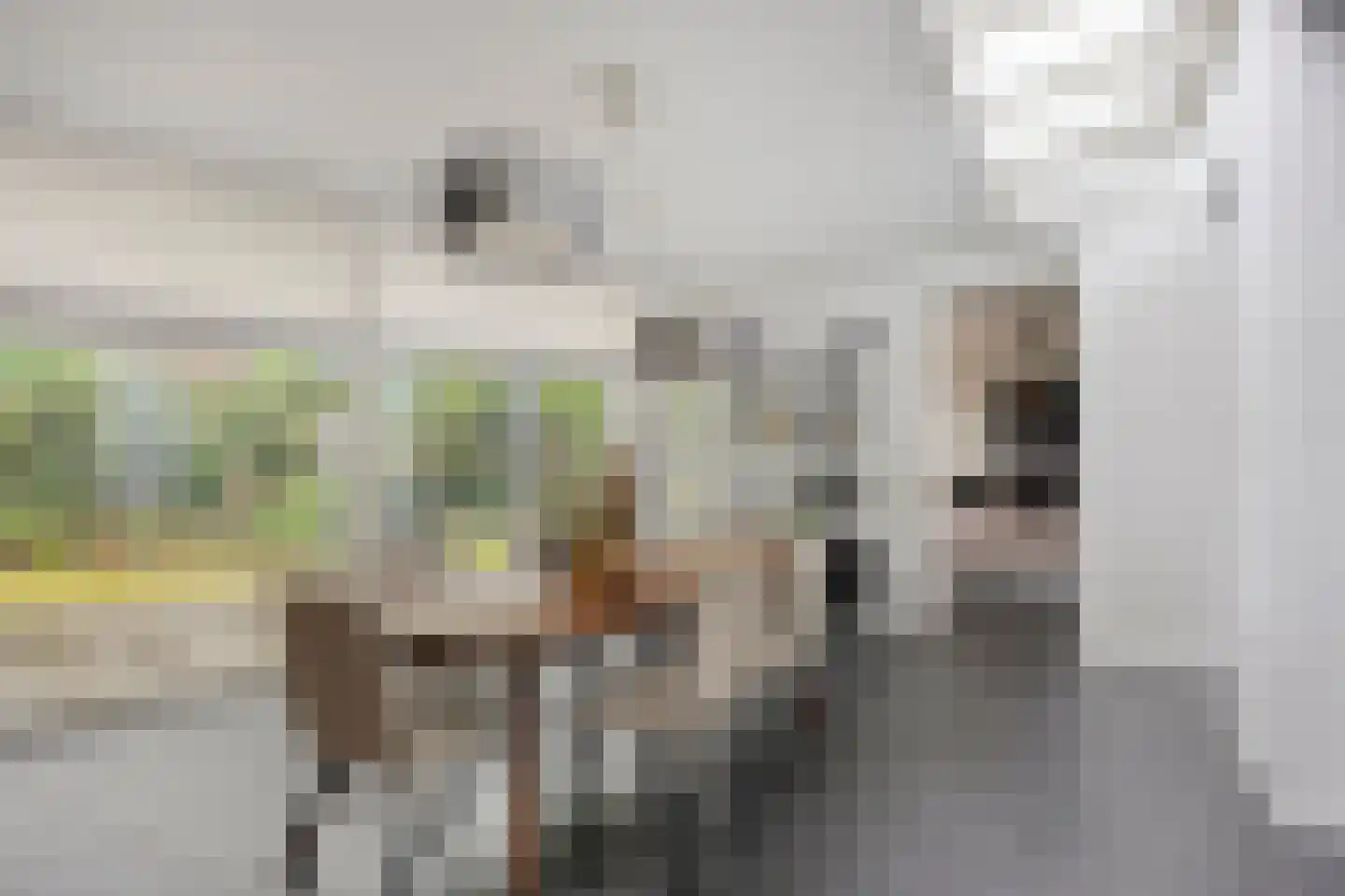 Molvense Erven 212 Nuenen thumbnail 15