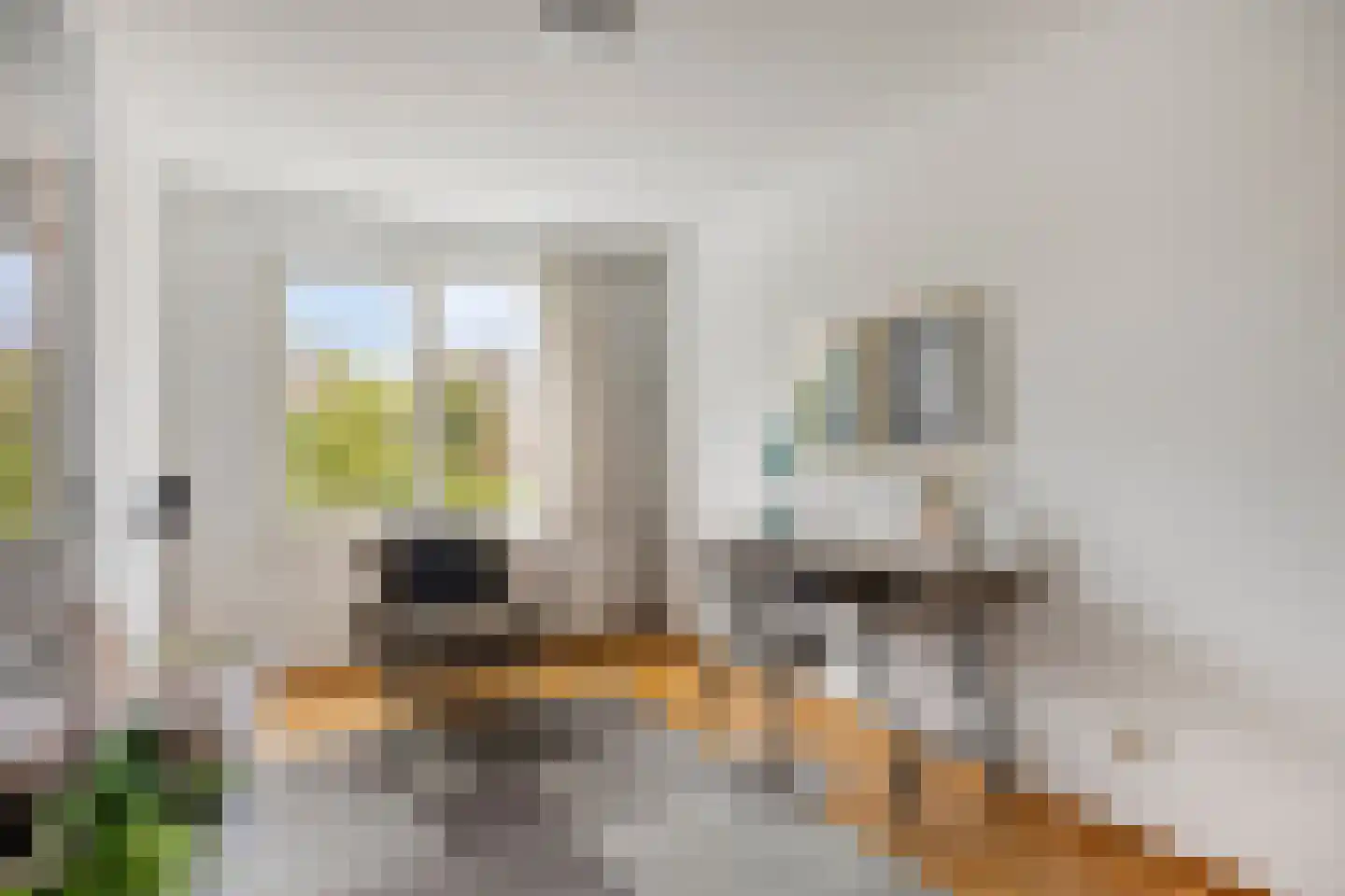 Molvense Erven 212 Nuenen thumbnail 30