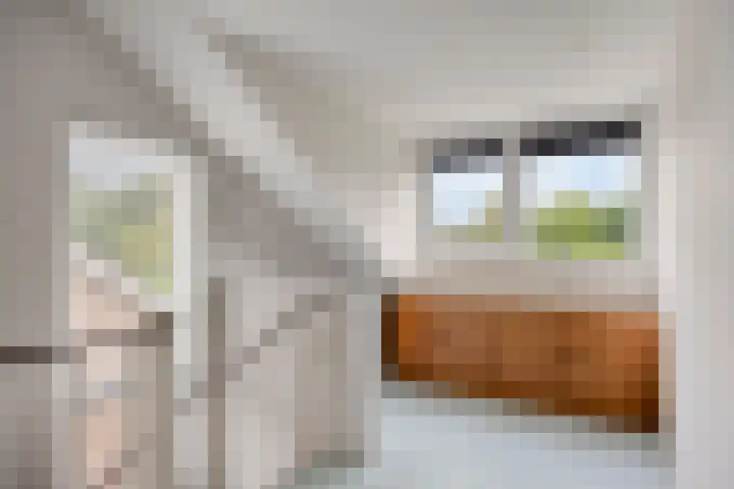 Molvense Erven 212 Nuenen thumbnail 34