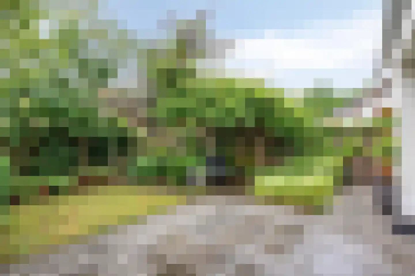 Molvense Erven 212 Nuenen thumbnail 38