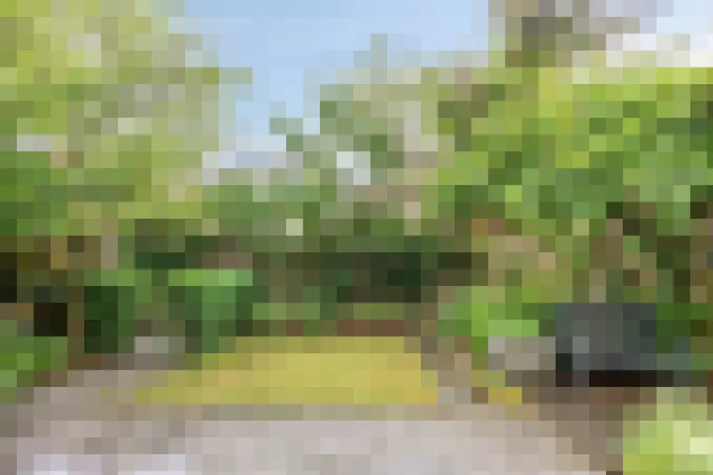Molvense Erven 212 Nuenen thumbnail 41