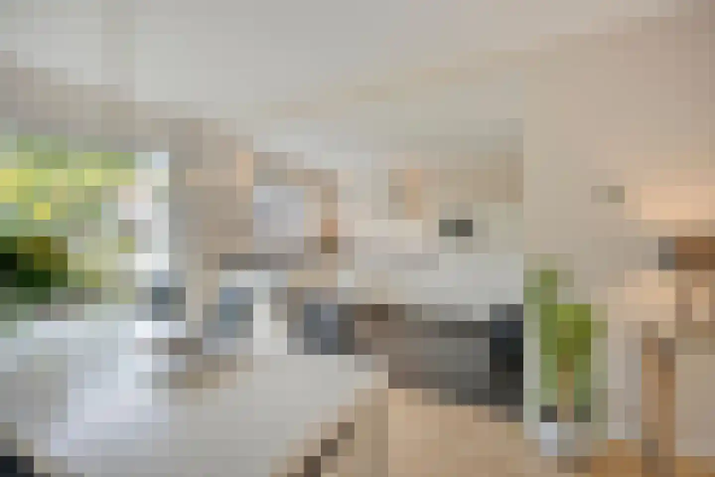 Molvense Erven 262 Nuenen thumbnail 15