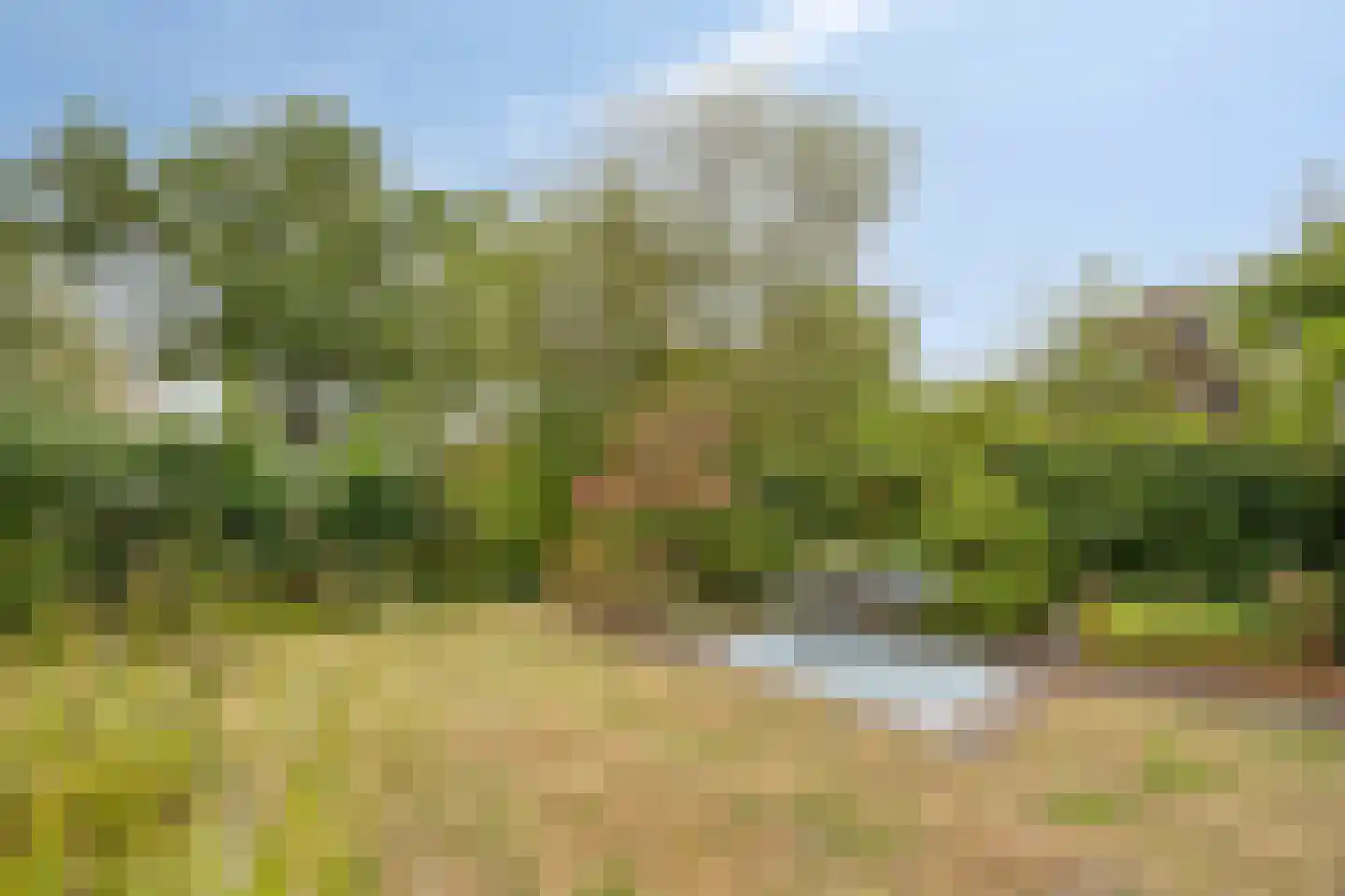 Molvense Erven 262 Nuenen thumbnail 32