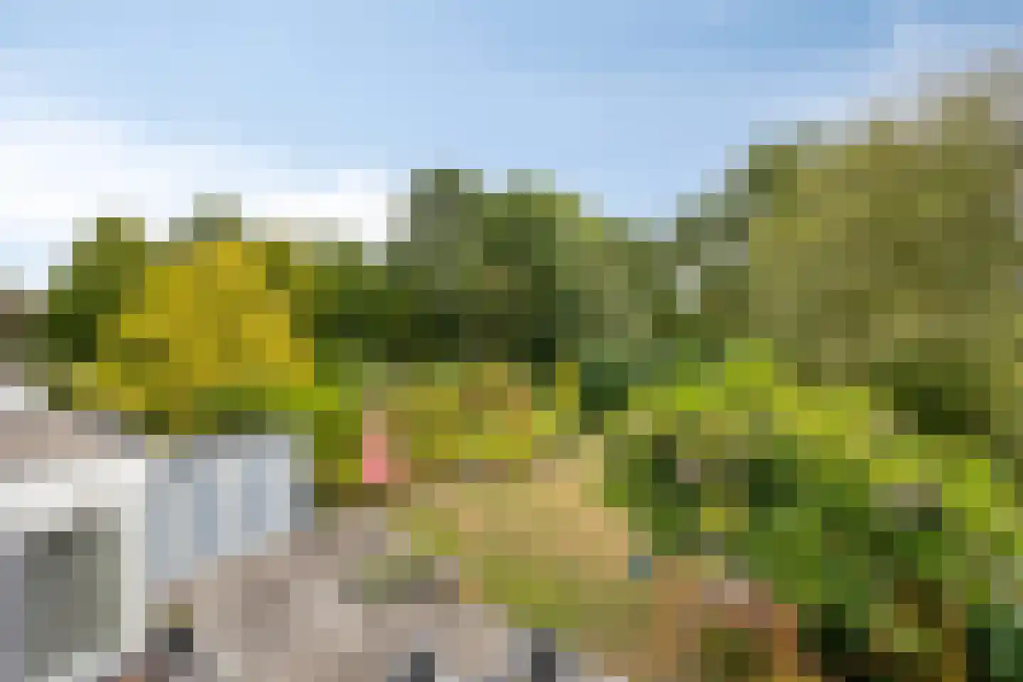 Molvense Erven 262 Nuenen thumbnail 33
