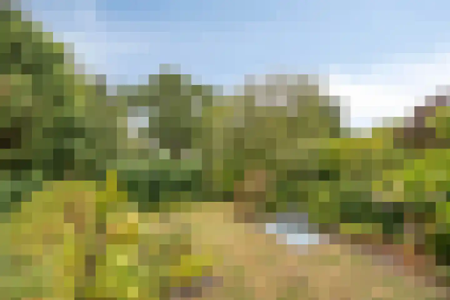 Molvense Erven 262 Nuenen thumbnail 34