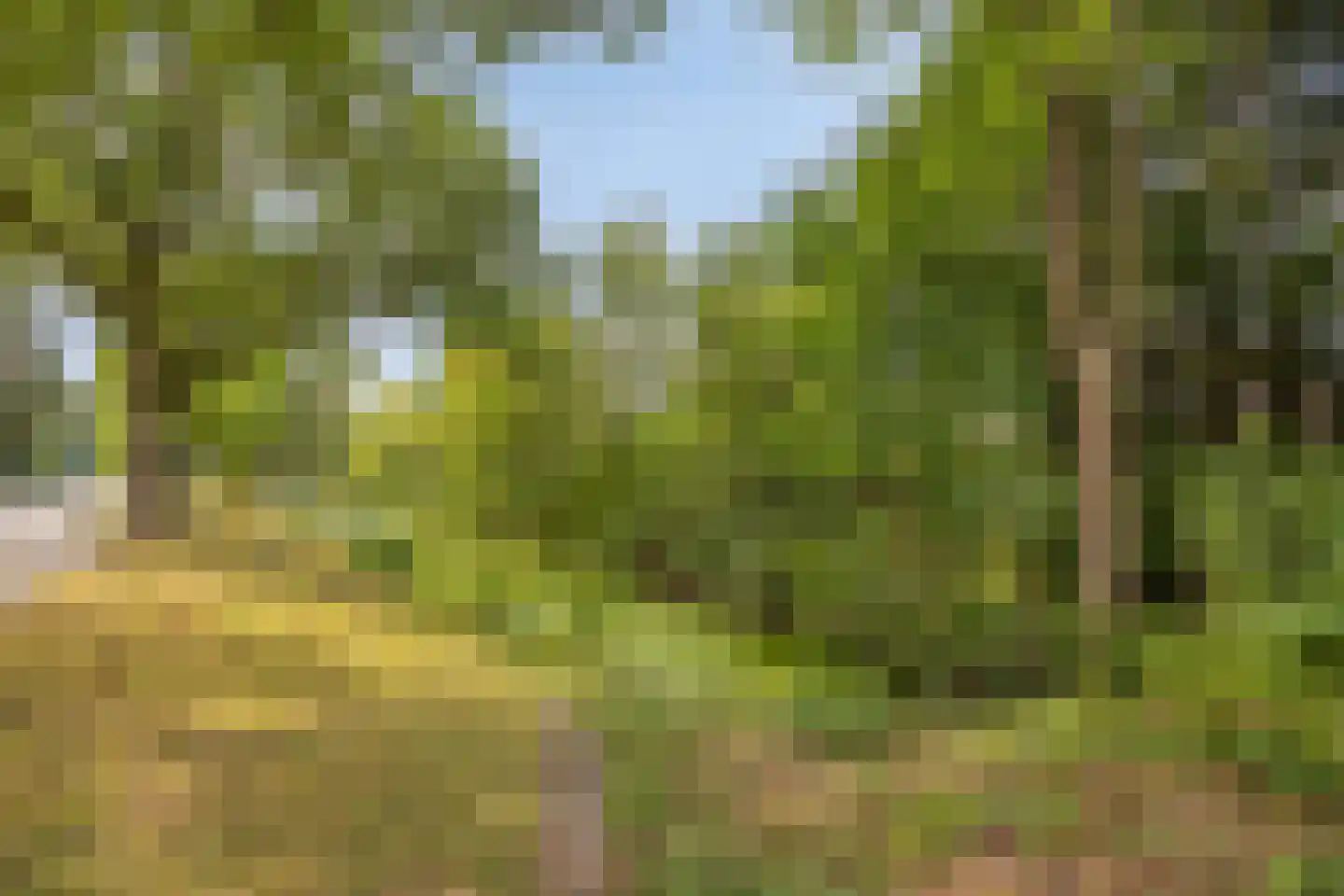 Molvense Erven 262 Nuenen thumbnail 39