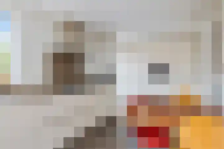Molvense Erven 35 Nuenen thumbnail 14