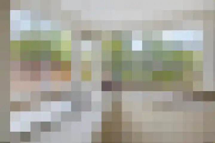 Molvense Erven 35 Nuenen thumbnail 16