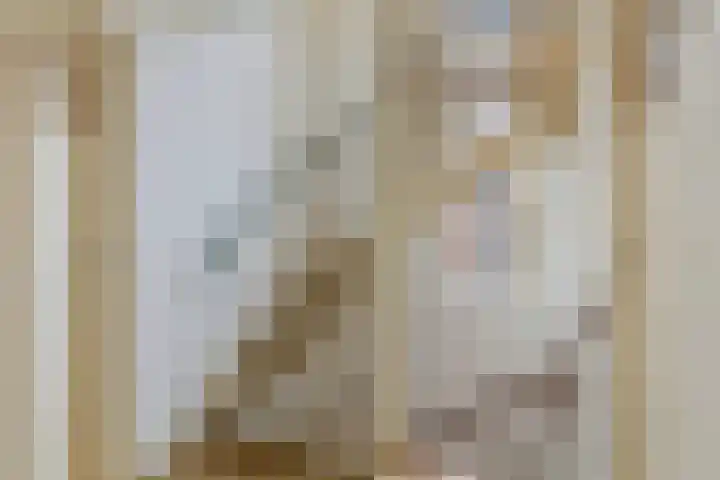 Molvense Erven 35 Nuenen thumbnail 20