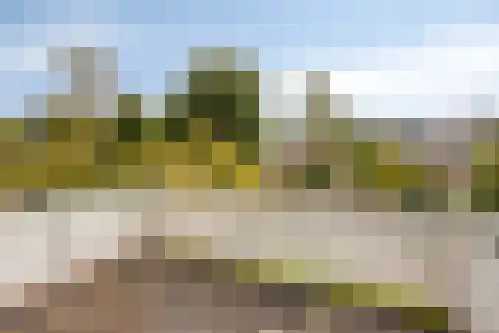 Molvense Erven 35 Nuenen thumbnail 25