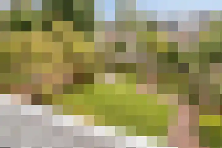 Molvense Erven 35 Nuenen thumbnail 26
