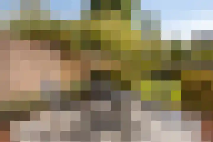 Molvense Erven 35 Nuenen thumbnail 36