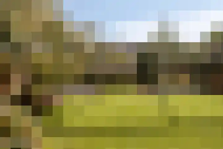 Molvense Erven 35 Nuenen thumbnail 37