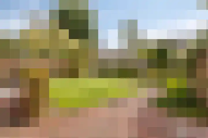 Molvense Erven 35 Nuenen thumbnail 38