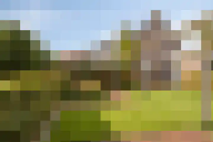 Molvense Erven 35 Nuenen thumbnail 39