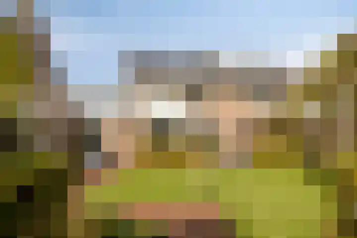 Molvense Erven 35 Nuenen thumbnail 4
