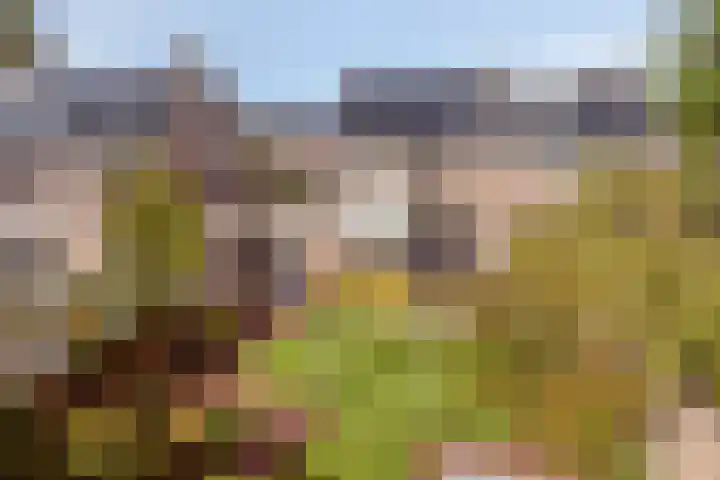 Molvense Erven 35 Nuenen thumbnail 40