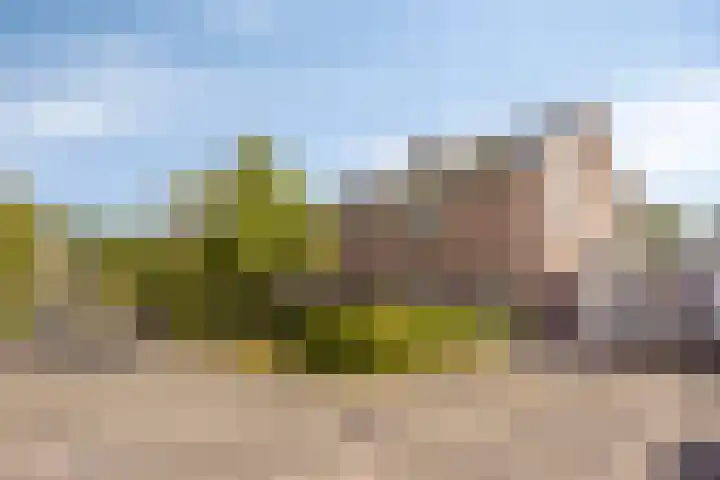 Molvense Erven 35 Nuenen thumbnail 41