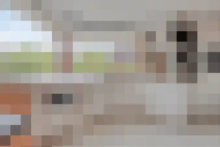 Molvense Erven 94 Nuenen thumbnail 14