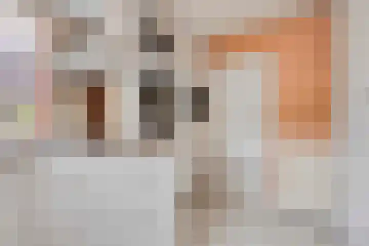 Molvense Erven 94 Nuenen thumbnail 15