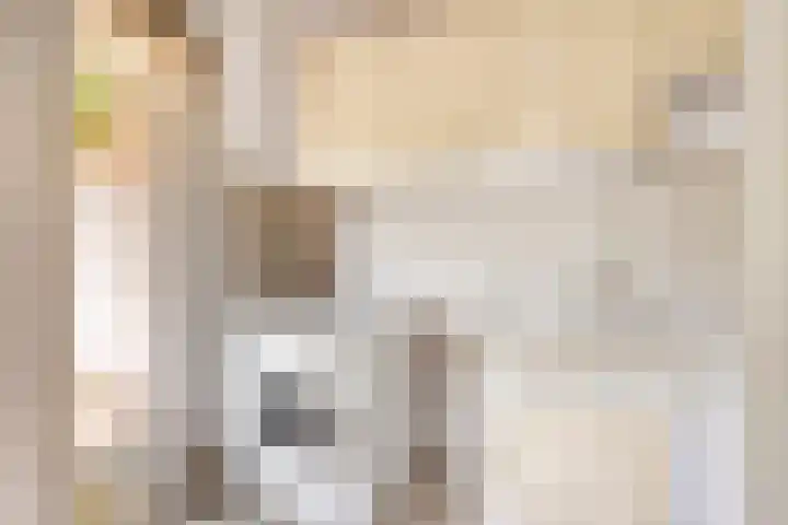 Molvense Erven 94 Nuenen thumbnail 17