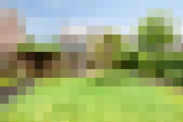 Molvense Erven 94 Nuenen thumbnail 19