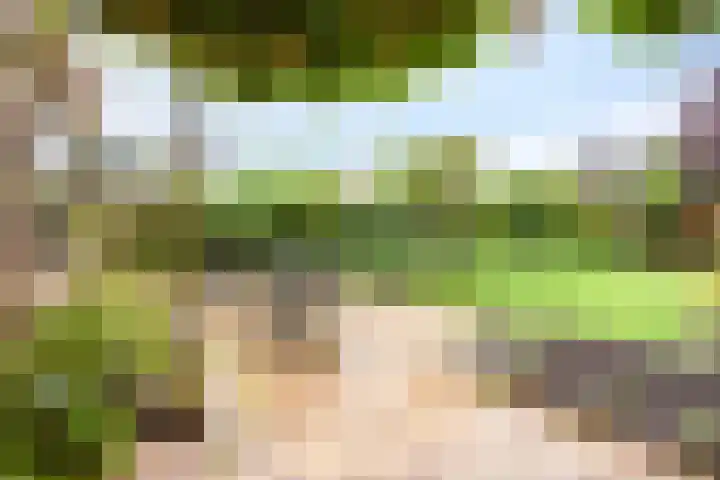 Molvense Erven 94 Nuenen thumbnail 20