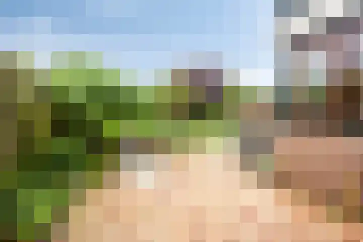 Molvense Erven 94 Nuenen thumbnail 21