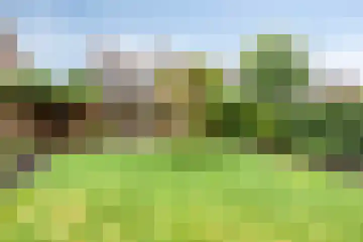 Molvense Erven 94 Nuenen thumbnail 22