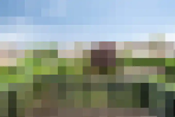 Molvense Erven 94 Nuenen thumbnail 33