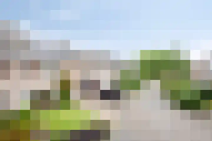 Molvense Erven 94 Nuenen thumbnail 41