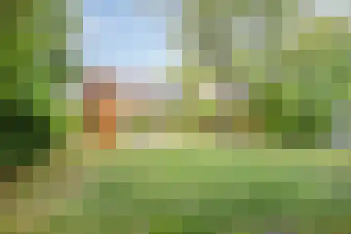 Molvense Erven 94 Nuenen thumbnail 42