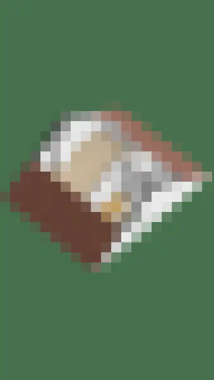 Molvense Erven 94 Nuenen thumbnail 48