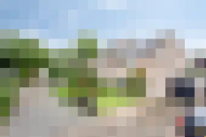Molvense Erven 94 Nuenen thumbnail 6