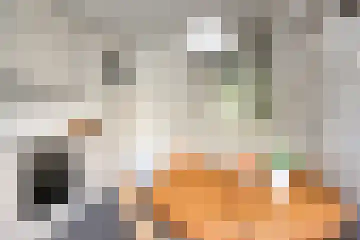 Molvense Erven 95 Nuenen thumbnail 19