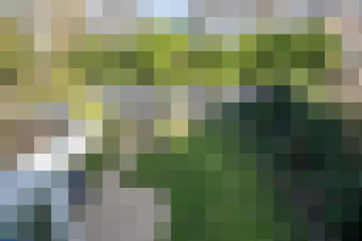 Molvense Erven 95 Nuenen thumbnail 27