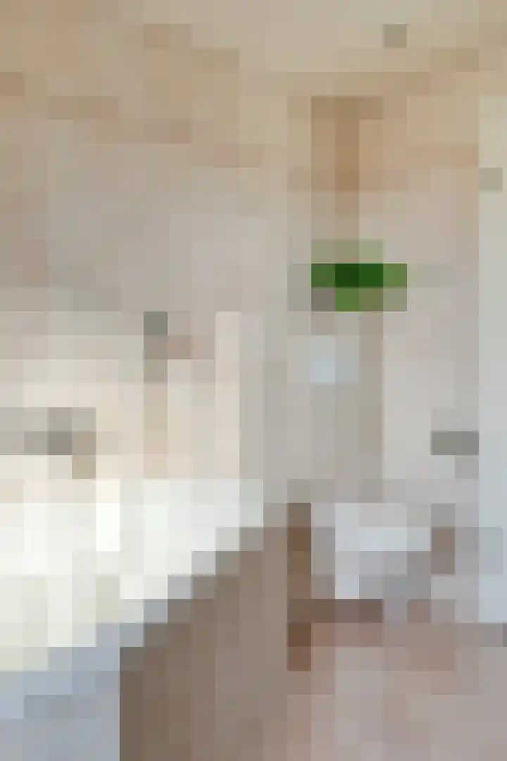 Molvense Erven 95 Nuenen thumbnail 32