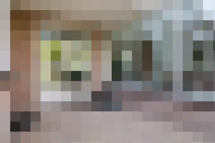 Molvense Erven 95 Nuenen thumbnail 40